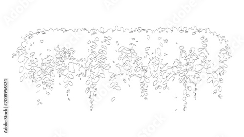 Tableau sur toile Decorative hanging plant leaves design in black line art style on clear white background