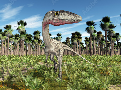 Schilderij op canvas Dinosaurier Coelophysis in einem Urwald