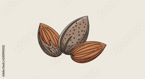 Three sketched almonds, one with speckled texture, on a neutral background