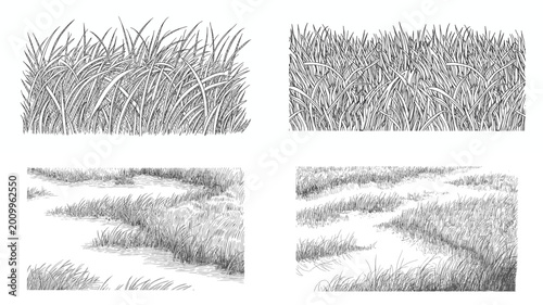Foto Vintage Engraving Style Marsh Grass and Wetland Scenery Collection