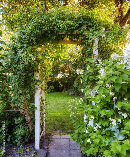 Obraz na plátně Plants, flowers and garden arbor in nature with climbing vibes, botanical growth and floral archway