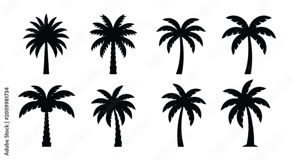 Fototapeta premium Set of black palm tree silhouettes on a white background, tropical icons