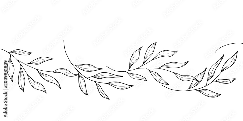 Obraz premium Spring branches of willow or olive, the sketch is hand-drawn. vector illustration. Seamless border, bamboo or eucalyptus branches pattern, isolated on a white background