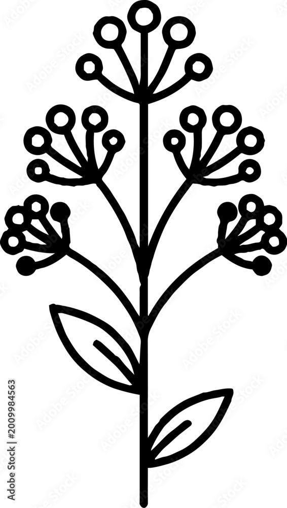 Obraz premium Botanical Wildflower Stem Illustration