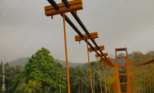 Hanging bridge