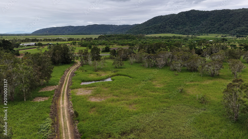 Obraz premium Aerial View of a Dirt Track Through Lush Farmland in Port Douglas