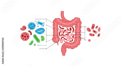 Medical illustration showing the human intestinal tract surrounded by various types of colorful bacteria and beneficial gut flora.
