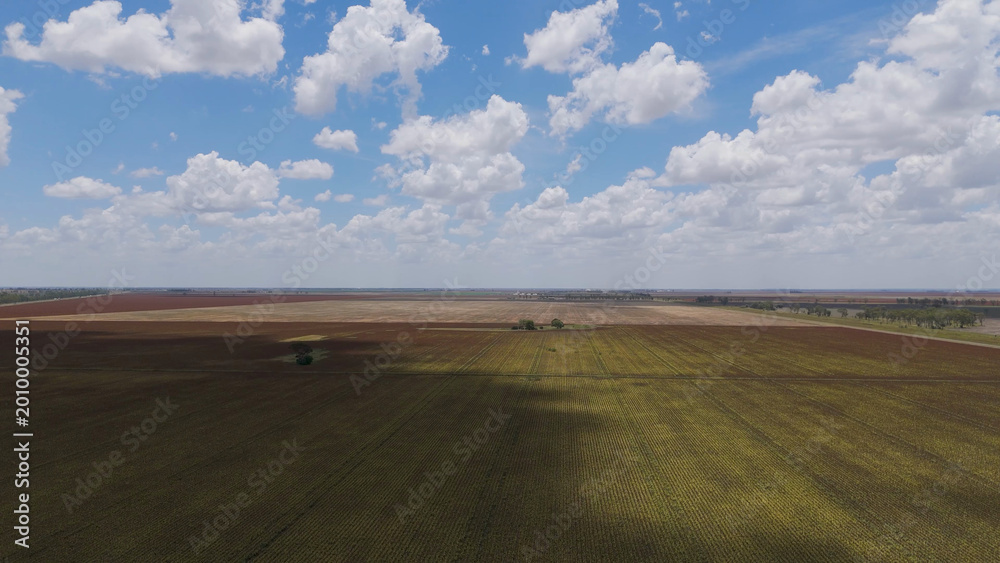 Fototapeta premium Aerial View of Expansive Australian Farmland Under a Cloudy Blue Sky
