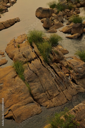 River bottom in the summer