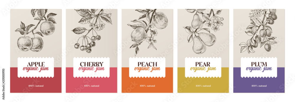 Naklejka premium Fruit jam vector labels set