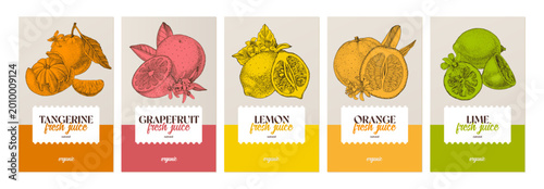 Citrus juice tastes vector collection