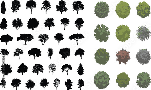 Quadro su tela Detailed collection of diverse tree silhouettes and top‑down canopy views showca