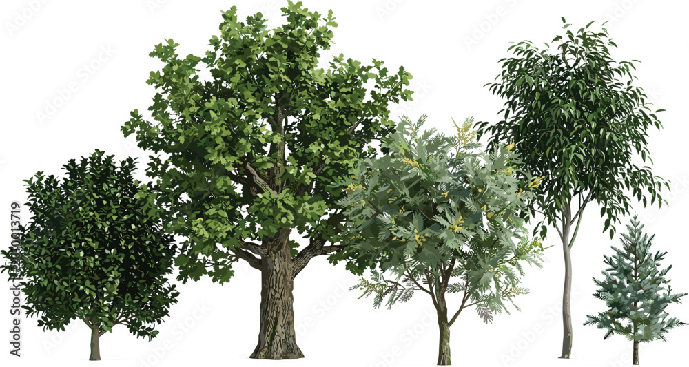 Fototapeta premium Collection of Green Deciduous and Coniferous Tree Vector Icons with Lush Leaves and Realistic Textures for Landscape Design, Nature Illustration, and Forestry Projects