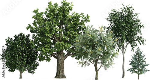 Obraz na płótnie Collection of Green Deciduous and Coniferous Tree Vector Icons with Lush Leaves