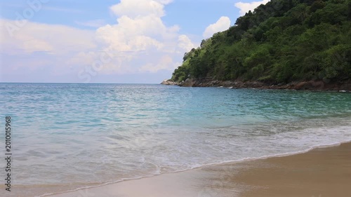 Tropical Beach Landscape featuring Clear Water and Lush Abundant Greenery.