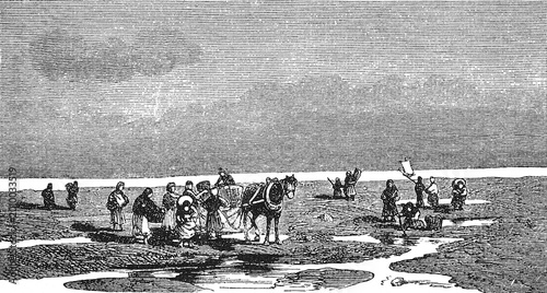 Photos Shell Gathering on the Coast of Landes, Post-Tidal Shore, Group with Horse Carrying Loads under Bleak Sky, Old Vintage Illustration, 1898