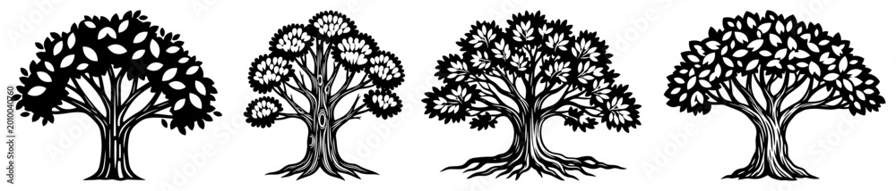 Obraz premium Tree silhouettes set of four different broadleaf and oak tree shapes for landscape and nature design projects