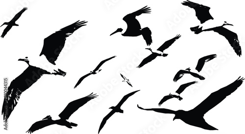 Tableau sur toile Albatross Flying Silhouette Icon with Long Wingspan Design