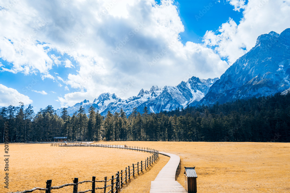 Fototapeta premium The scenery of the walking plank road at Yushanping, Jade Dragon Snow Mountain in Lijiang, Yunnan Province, China