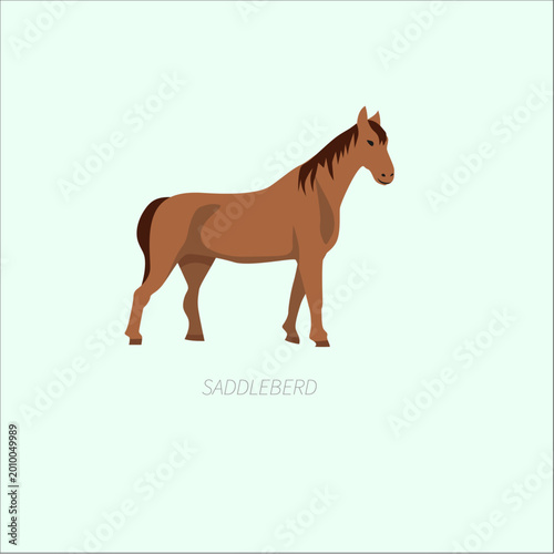 Foto Saddlebred horse cartoon illustration with brown coat, standing American equine