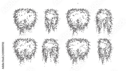 Tableau sur toile Set of hanging floral bush sketches for landscaping and garden design illustrations