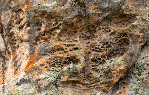 Surface shows a highly complex natural texture shaped over thousands of years, where geological and biological processes overlap; key feature is tafoni (honeycomb weathering) formed by wind, salt crys