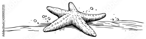 Photos Starfish on beach in water with bubbles hand drawn vintage engraving style marin