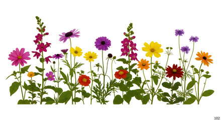 Vibrant wildflower meadow border with colorful blooms in soft natural light for spring garden design