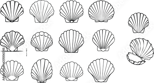 Schilderij op canvas Clam Shell Outline Illustration Simple Ridges Marine Object Isolated on White Ba