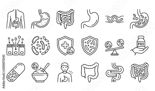 Bild auf Leinwand Digestive system health and gut microbiome a collection of line icons representi