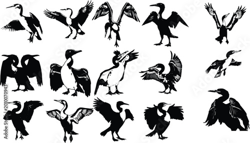 Schilderij op canvas Cormorant Outline Illustration – Wings Spread Drying Pose Isolated on White Back