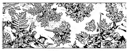 Tableau sur toile Hand Drawn Dense Foliage and Leaves Pattern, Natural Forest Floor Vegetation Tex
