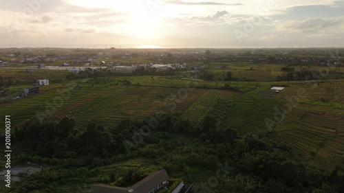 Canggu Bali 4K drone aerial of lush rice fields in late afternoon light, tropical landscape with green paddies, rural scenery and soft natural lighting, Southeast Asia travel destination.