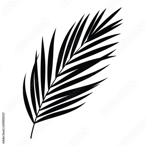 Single tropical palm leaf silhouette vector icon for summer design