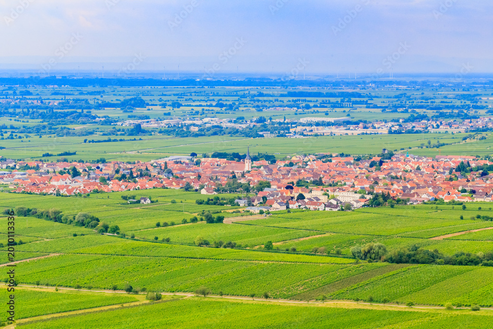 Fototapeta premium View of a village surrounded by green fields and vineyards in landscape during daytime in summer season