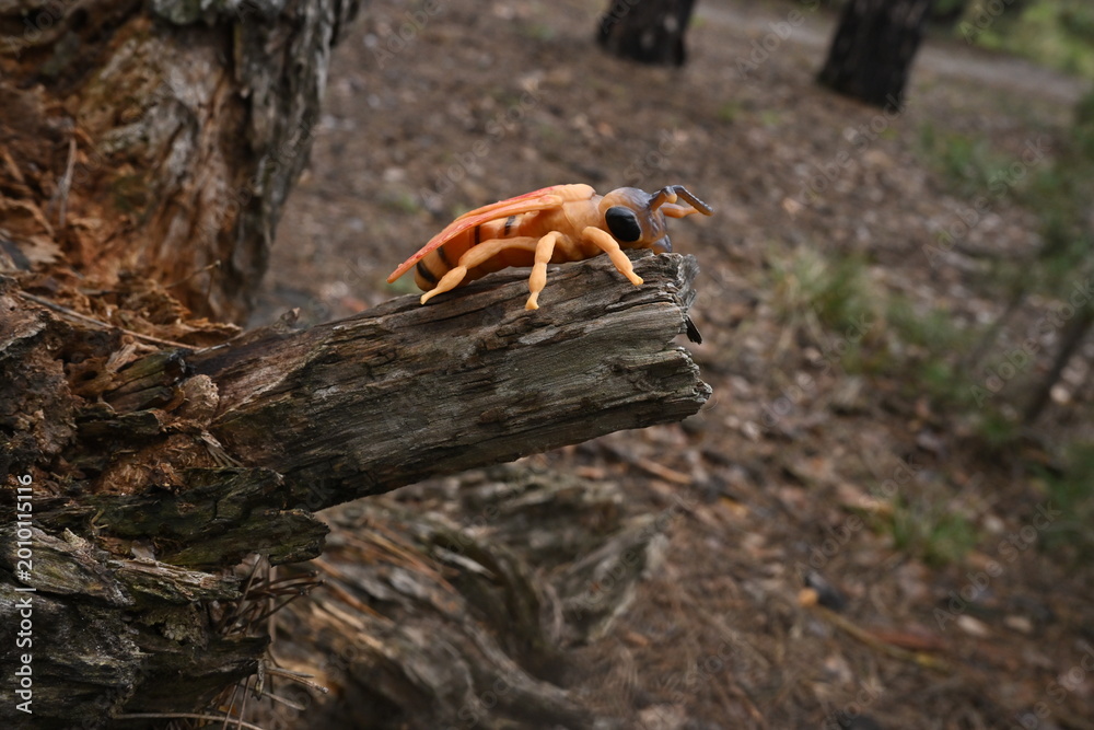 Fototapeta premium Artificial insect toy resting on natural tree branch in forest setting, contrasting and nature elements synthetic