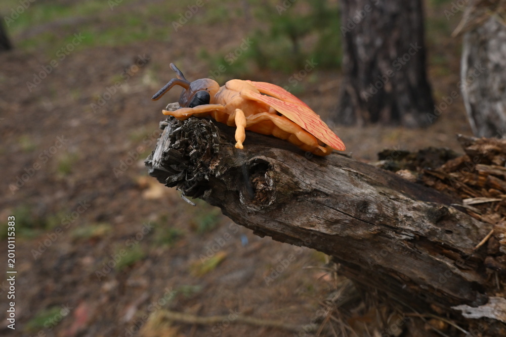 Fototapeta premium Artificial insect toy resting on natural tree branch in forest setting, contrasting nature elements and synthetic