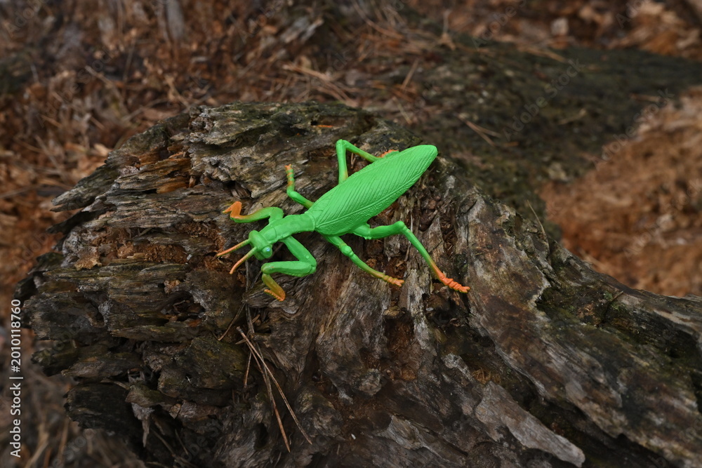Fototapeta premium Green plastic praying mantis toy on weathered wood capturing childhood and outdoor imagination play