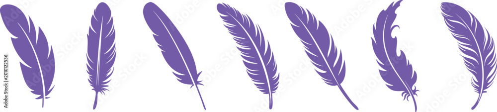 Obraz premium Hand Drawn Feather Vector Collection, Colorful Bird Feather Silhouette Set, Decorative Nature Illustration
