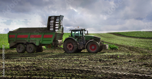 A tractor with a trailer on the field during harvest