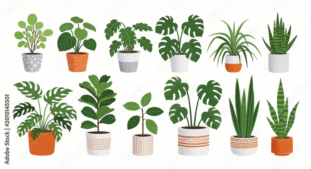 Fototapeta premium Vector potted plants, houseplants, leafy greens, 12 plant icons, botanical illustrations, gardening, interior design elements