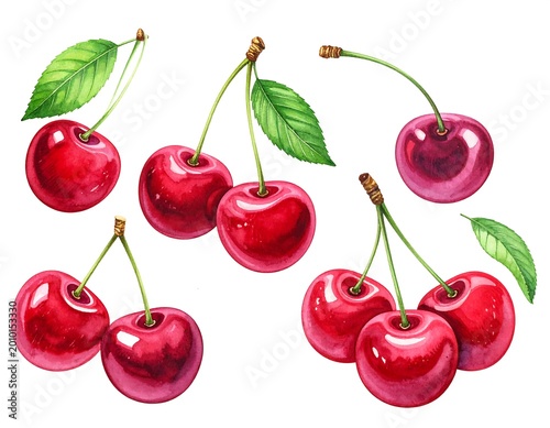 Cherry Watercolor Set.