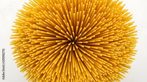 Spaghetti Still Life of Raw Pasta Isolated on White Background