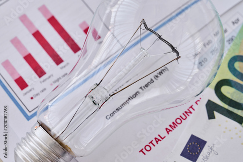A clear light bulb sits on documents showing graphs and notes about electricity use in a recent analysis.