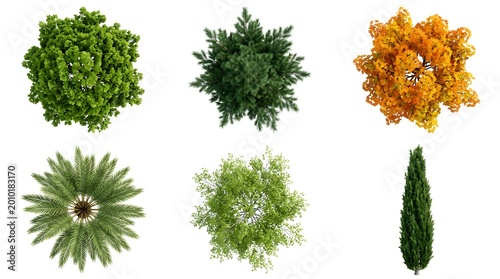 Trees Collection Set Trees Isolated on White Background for Architecture