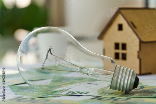 Tableau sur toile A light bulb rests on banknotes next to a model house