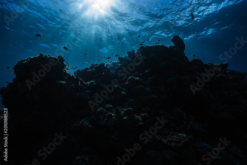 Tableau sur toile Sunlight rays shining through ocean water over coral reef