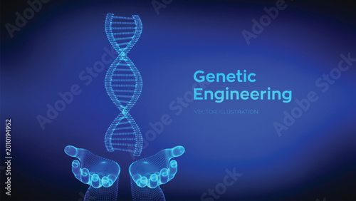 Cuadro en lienzo Two human hands wireframe model holding rotating glowing blue dna strand helix representing genetic engineering and biotechnology development in a digital space vector illustration