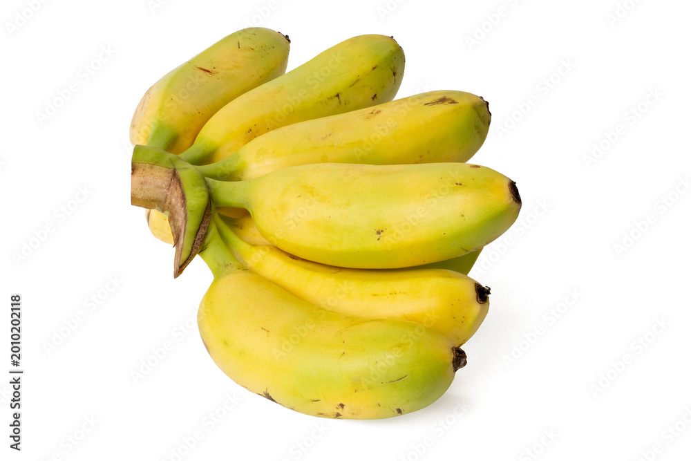 Obraz premium The High-resolution of fresh lady finger banana using stack focus technique on a white background, suitable for editing.