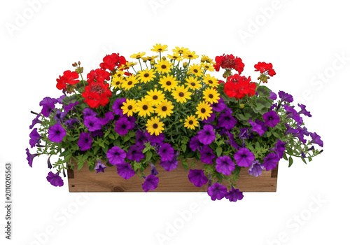 Vibrant flower arrangement in a rectangular planter box isolated on transparent background